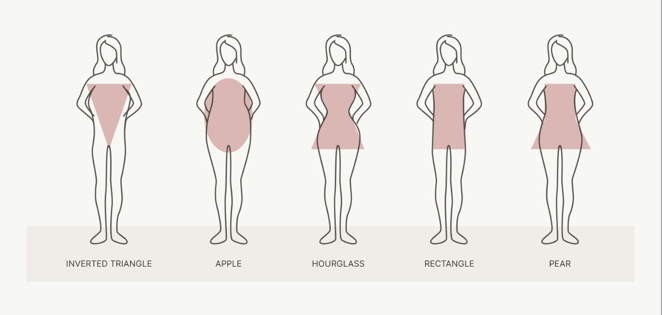 Body shape size reference
