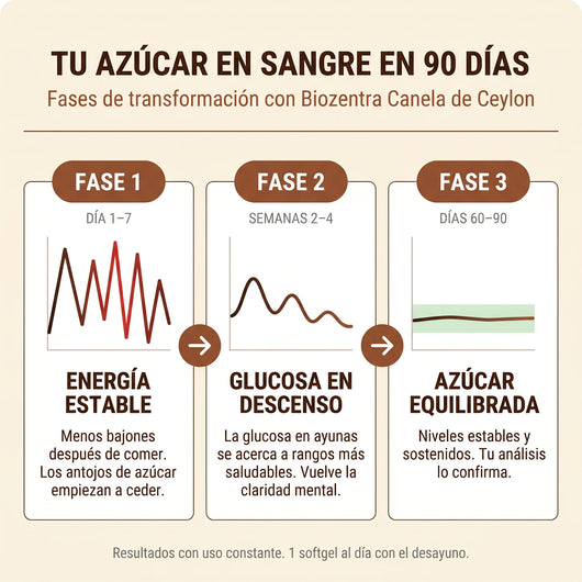Biozentra - Canela de Ceylon 7200mg con Aceite MCT